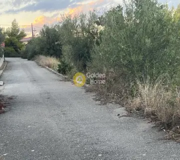 Οικιστικό 1050τ.μ. προς πώληση φωτογραφία 4458341