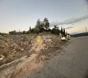 Οικιστικό 1011τ.μ. προς πώληση φωτογραφία 7
