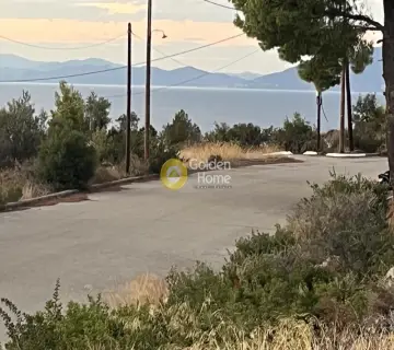 Οικιστικό 1011τ.μ. προς πώληση φωτογραφία 3
