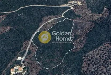 Residential 25000m<sup>2</sup> for sale photo 4132907