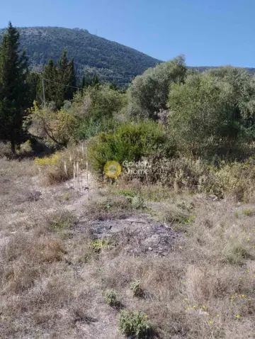 Residential 2230m<sup>2</sup> for sale photo 4133320