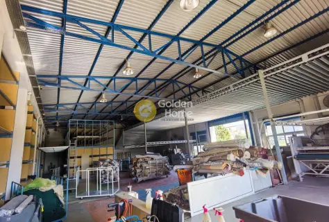 Industrial 960m<sup>2</sup> for sale photo 4140730