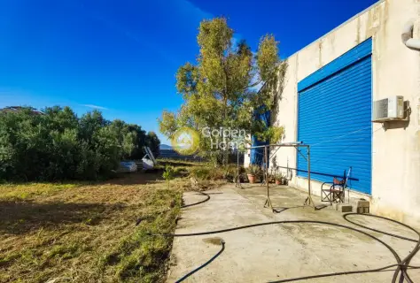 Industrial 960m<sup>2</sup> for sale photo 4140737