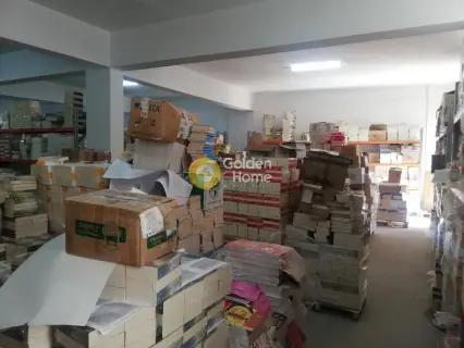 Αποθήκη 623τ.μ. προς πώληση φωτογραφία 4138908