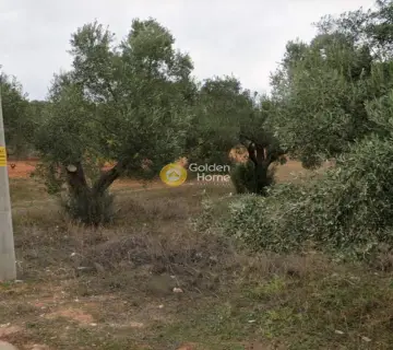 Parcel 1396m<sup>2</sup> for sale photo 4664528
