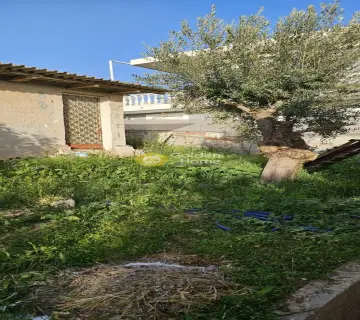 Μονοκατοικία 178τ.μ. προς πώληση φωτογραφία 24
