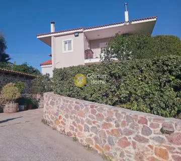 Μονοκατοικία 260τ.μ. προς πώληση φωτογραφία 4