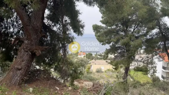 Οικιστικό 1048τ.μ. προς πώληση φωτογραφία 4728542