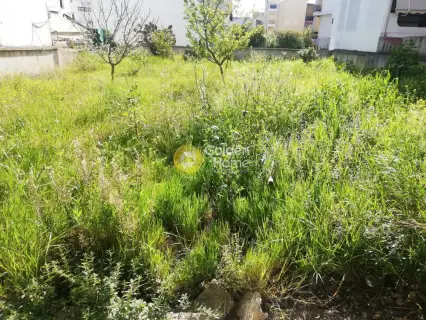 Κατάστημα 623τ.μ. προς πώληση φωτογραφία 23