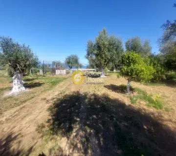 住宅 2426m<sup>2</sup> for sale photo 4140849