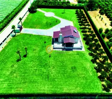 Golden Home Property Image