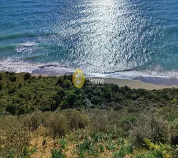 Οικιστικό 4000τ.μ. προς πώληση φωτογραφία 2