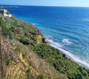 Οικιστικό 4000τ.μ. προς πώληση φωτογραφία 1