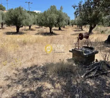 Οικιστικό 4843τ.μ. προς πώληση φωτογραφία 4157399