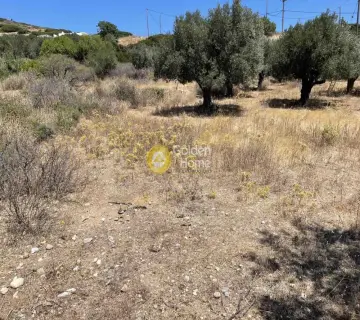 Οικιστικό 4843τ.μ. προς πώληση φωτογραφία 4157401