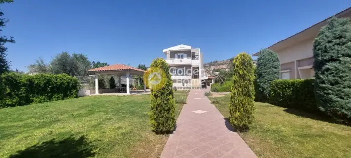 Μονοκατοικία 300τ.μ. προς πώληση φωτογραφία 8