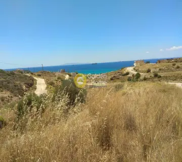 Professional Plot 1000m<sup>2</sup> for sale photo 4168238