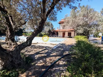 House 600m<sup>2</sup> for sale photo 40