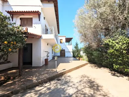 House 600m<sup>2</sup> for sale photo 13