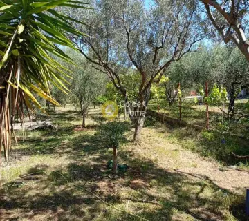 住宅 1500m<sup>2</sup> for sale photo 4