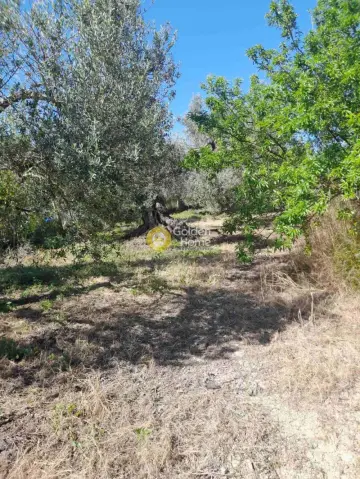 Residential 790m<sup>2</sup> for sale photo 2