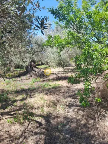 Residential 790m<sup>2</sup> for sale photo 7