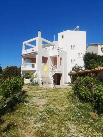 House 315m<sup>2</sup> for sale photo 23