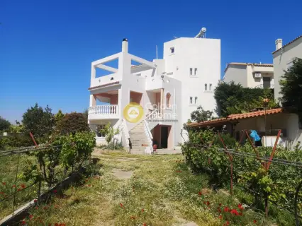House 315m<sup>2</sup> for sale photo 1