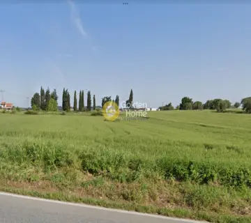 Parcel 6000m<sup>2</sup> for rent photo 3