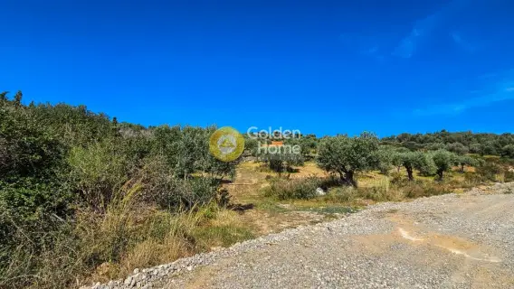 住宅 7000m<sup>2</sup> for sale photo 4235434