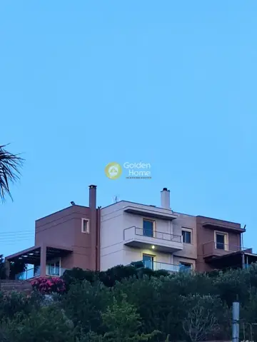 Μονοκατοικία 400τ.μ. προς πώληση φωτογραφία 2