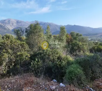Area 3500m<sup>2</sup> for sale photo 6