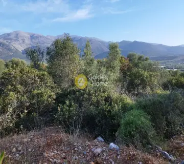Area 3500m<sup>2</sup> for sale photo 11