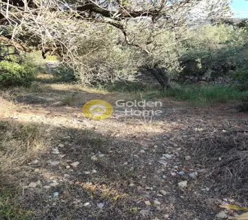 Residential 4010m<sup>2</sup> for sale photo 4