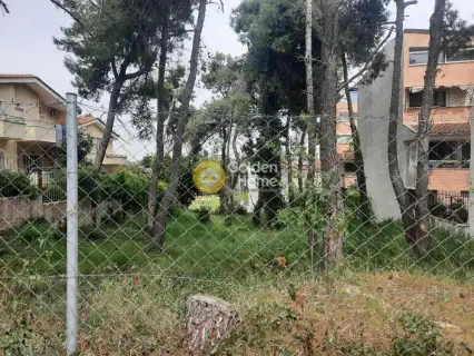 Residential 625m<sup>2</sup> for sale photo 2