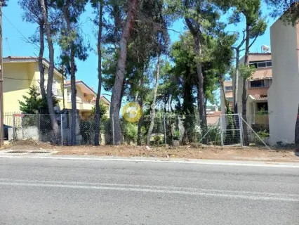 Residential 625m<sup>2</sup> for sale photo 6