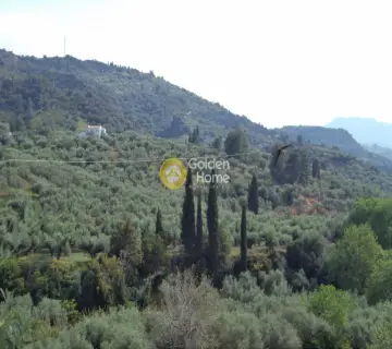 Μονοκατοικία 338τ.μ. προς πώληση φωτογραφία 19