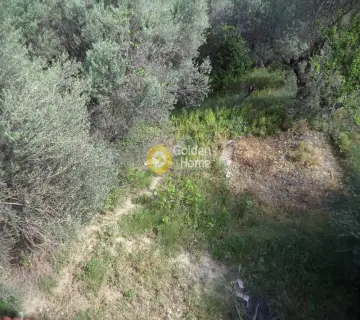 Μονοκατοικία 338τ.μ. προς πώληση φωτογραφία 18