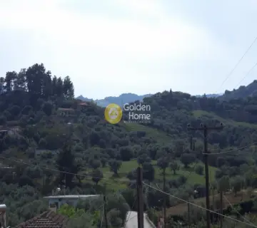 Μονοκατοικία 338τ.μ. προς πώληση φωτογραφία 15
