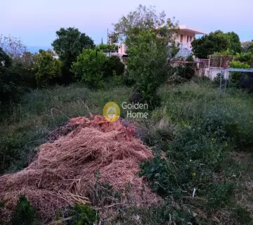 Αγροτεμάχιο 1023τ.μ. προς ενοικίαση φωτογραφία 4201414