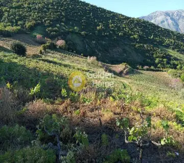 Αγροτεμάχιο 8973τ.μ. προς πώληση φωτογραφία 4160686