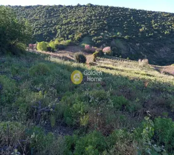 Αγροτεμάχιο 8973τ.μ. προς πώληση φωτογραφία 4160687