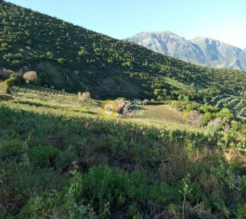 Αγροτεμάχιο 8973τ.μ. προς πώληση φωτογραφία 4160689
