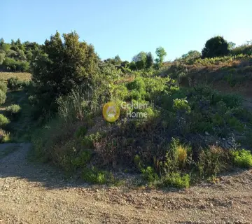 Αγροτεμάχιο 233τ.μ. προς πώληση φωτογραφία 4160732