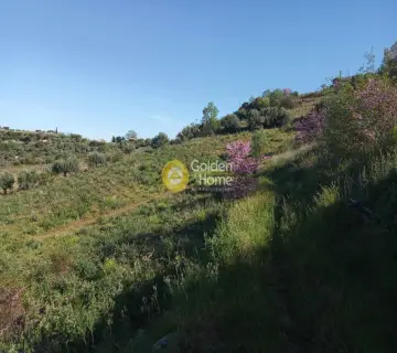 Αγροτεμάχιο 11200τ.μ. προς πώληση φωτογραφία 4160776