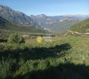 Αγροτεμάχιο 11200τ.μ. προς πώληση φωτογραφία 4160776