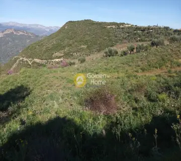 Αγροτεμάχιο 11200τ.μ. προς πώληση φωτογραφία 4160776