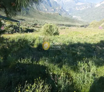 Αγροτεμάχιο 11200τ.μ. προς πώληση φωτογραφία 4160776