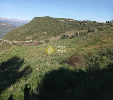 Αγροτεμάχιο 11200τ.μ. προς πώληση φωτογραφία 4160776