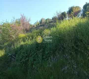 Αγροτεμάχιο 11200τ.μ. προς πώληση φωτογραφία 4160776
